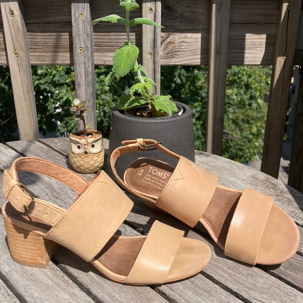 TOMS Poppy Block Heeled Sandal with buckled strap, size 6
